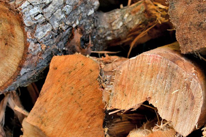 Pitmaster Christopher Prieto: How To Make Ribs