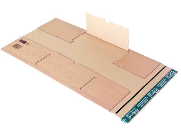 Buchverpackung mit zentraler Packgutaufnahme DIN C4 350x260x-70 mm